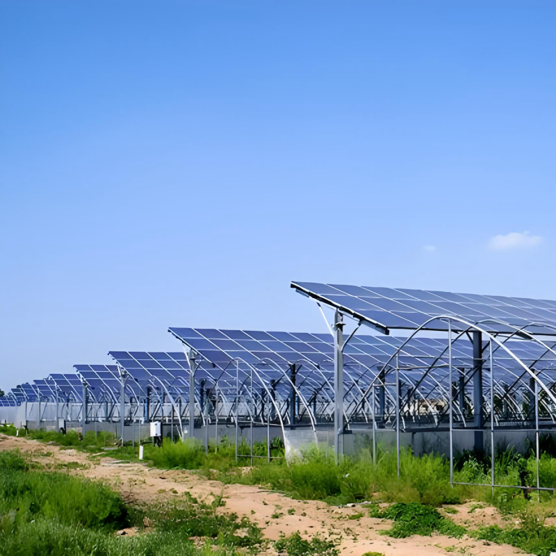 Suportes de montagem solar em solo econômicos construídos para projetos de grande escala, confiabilidade duradoura